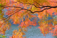 湖畔の紅葉