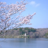 春