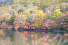 湯ノ湖