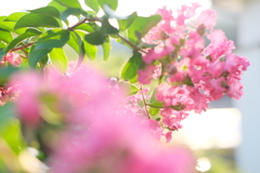 夏の終わり