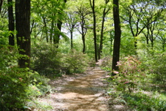 赤城自然園