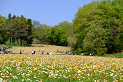 武蔵丘陵森林公園