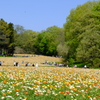 武蔵丘陵森林公園