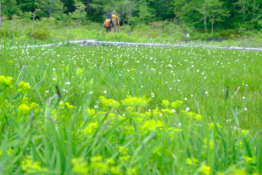 梅雨の好天