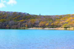 秋の小沼
