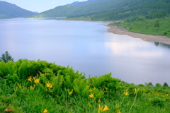 湖面