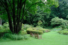 ベンチ
