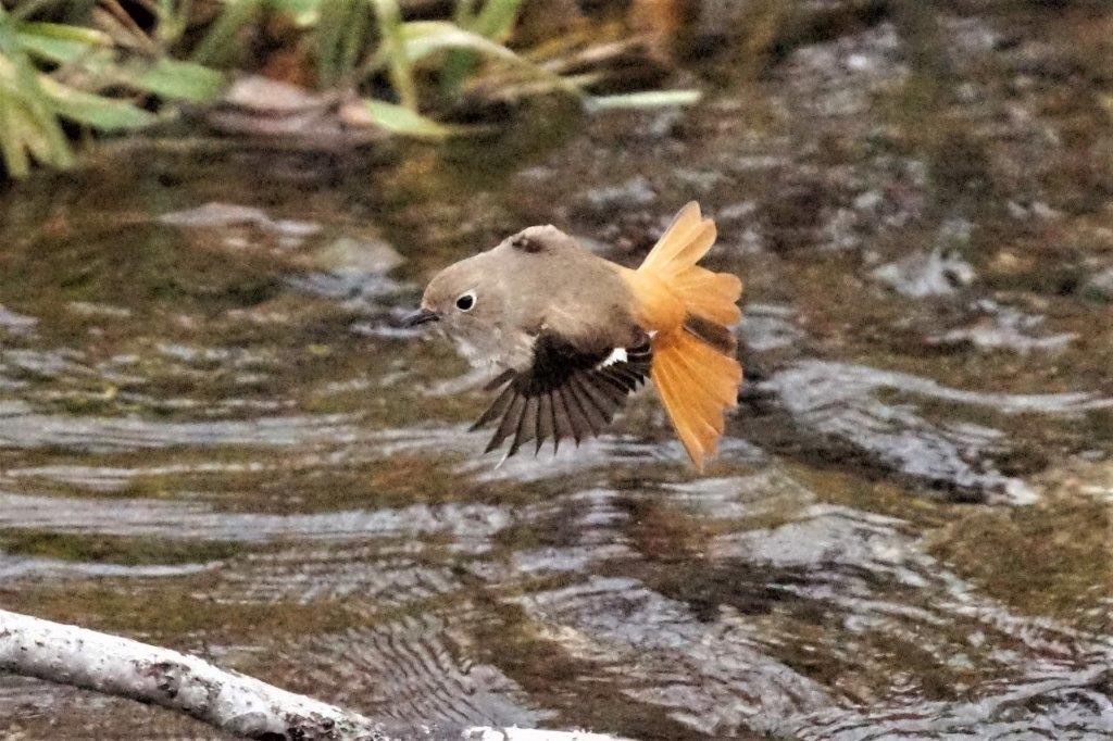 66876F77-C902-486C-BE43-9405C5EA600A