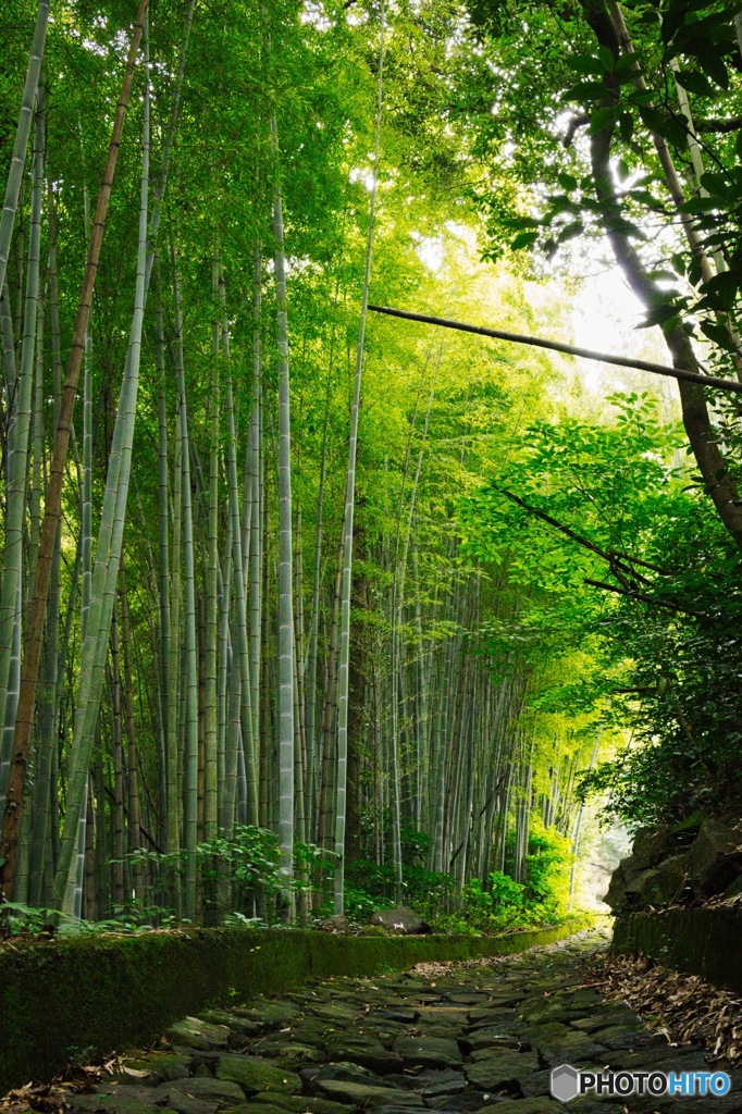 夏目漱石 石畳の道