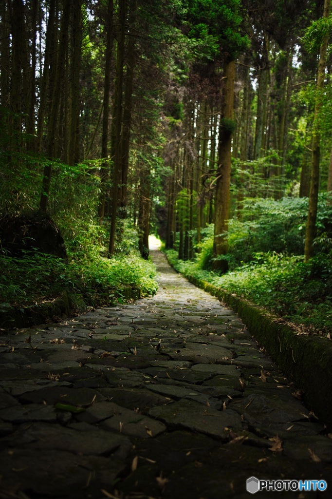 夏目漱石 石畳の道