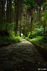夏目漱石 石畳の道