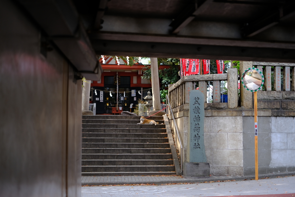 門番