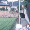 何を見てるのかな