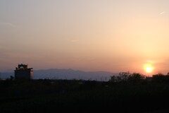 夕日に吠えろ