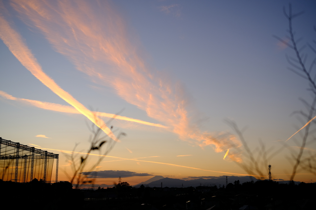 西の空に飛行機雲