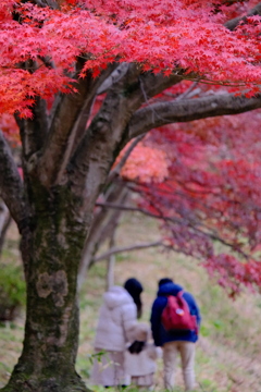 もうちょい