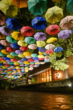 雨上がり