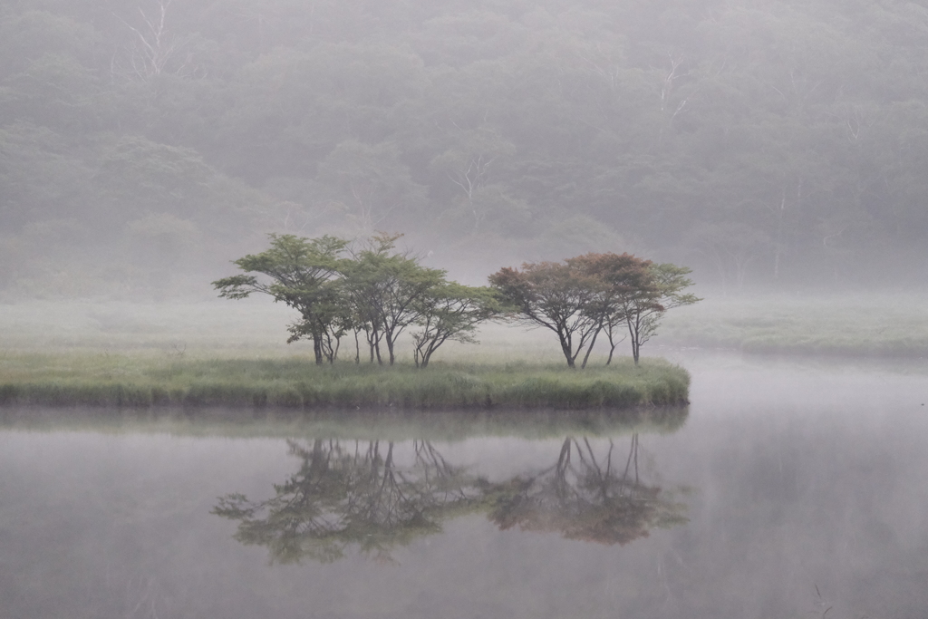 覚満淵