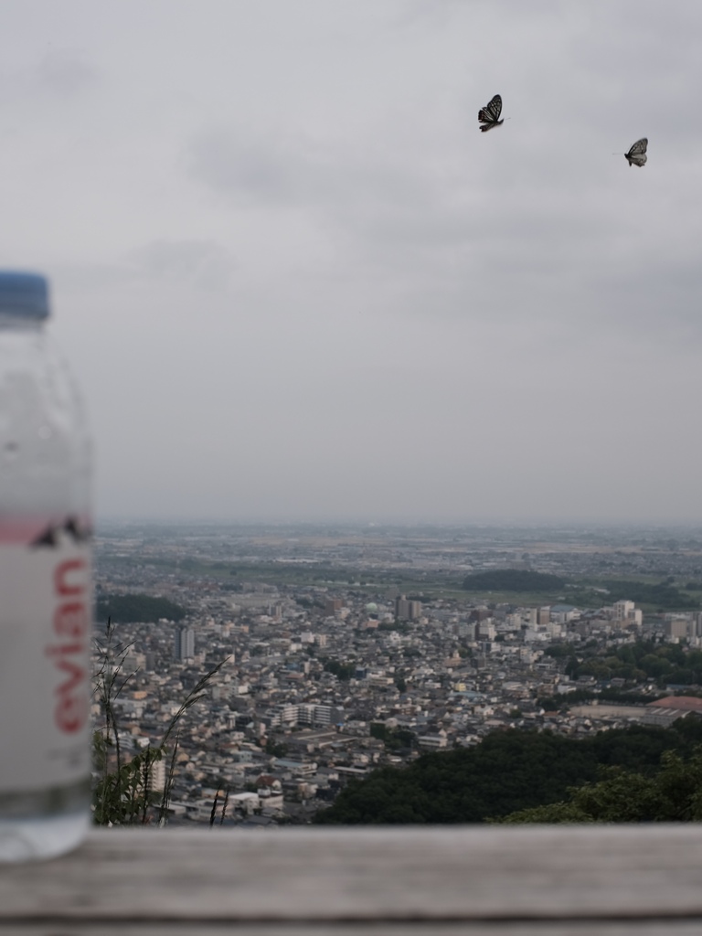 低山ハイク3
