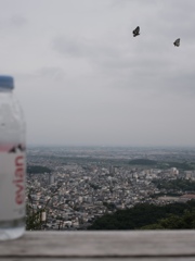 低山ハイク3