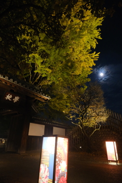 学校門とお月様