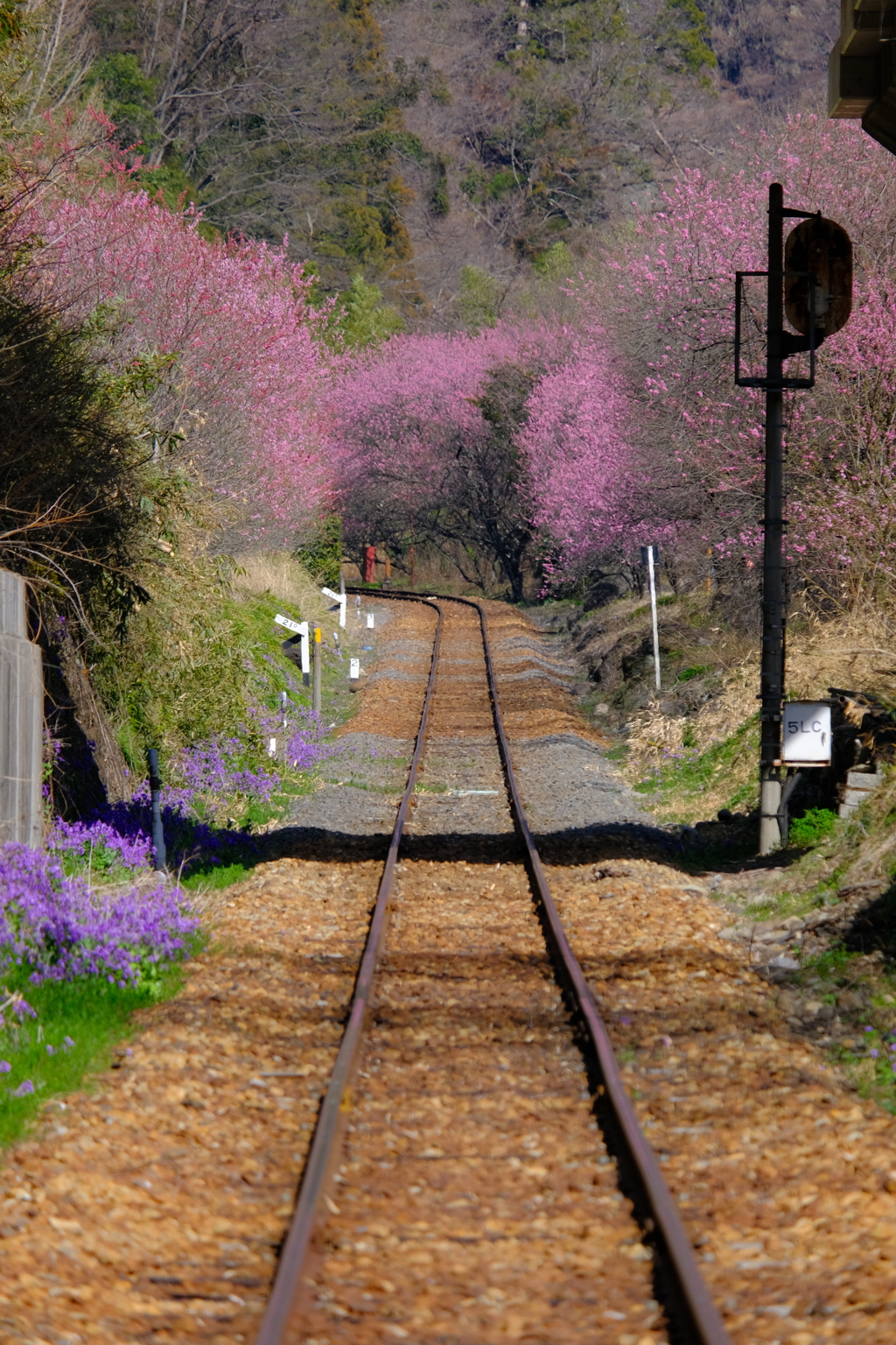線路1