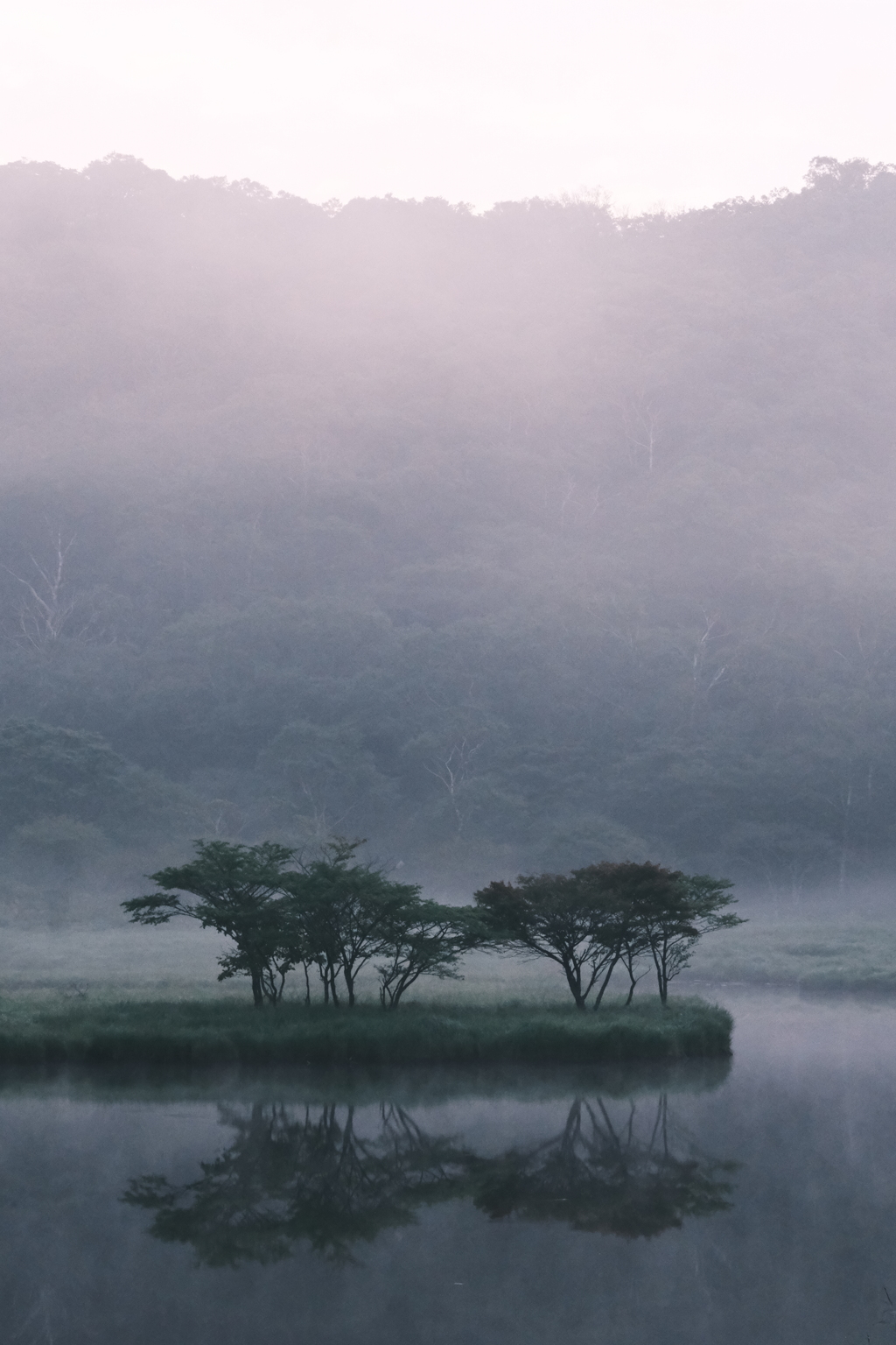 覚満淵