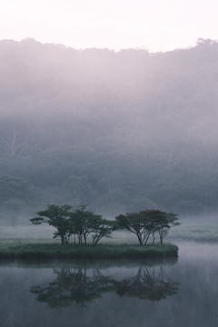覚満淵