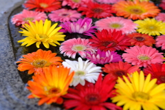 花手水