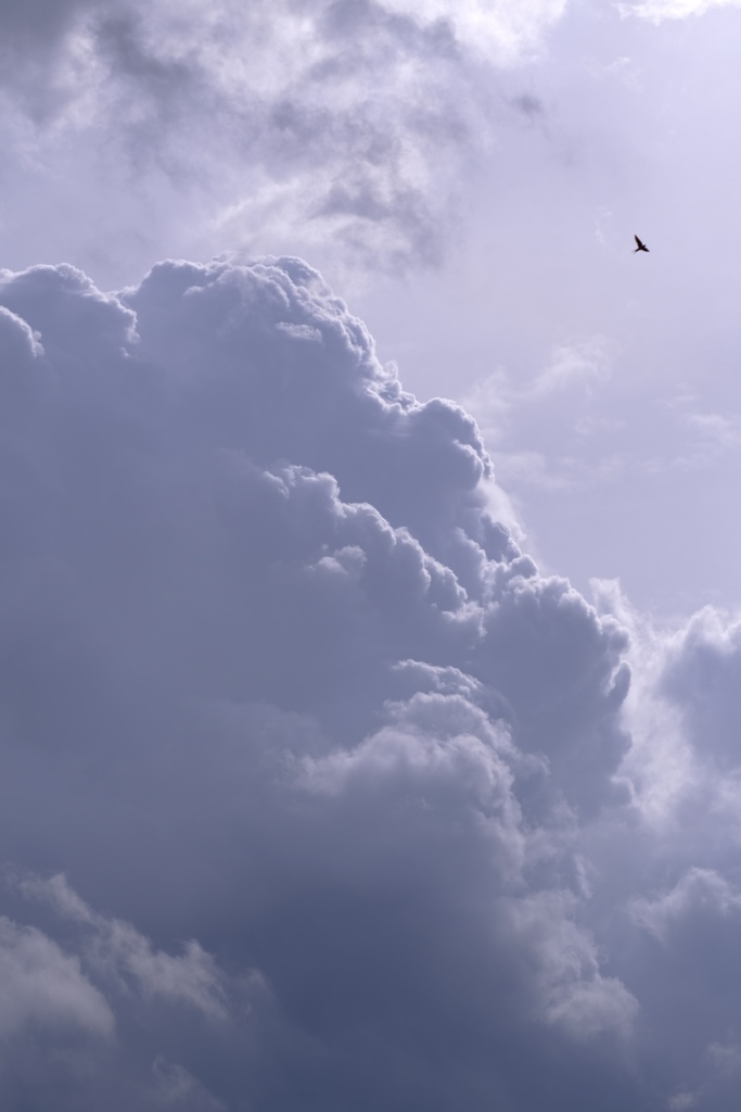 曇天の日曜日①