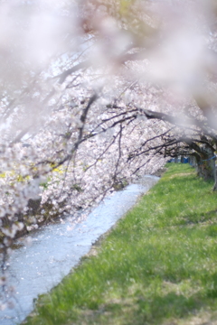 はーるのおがわは