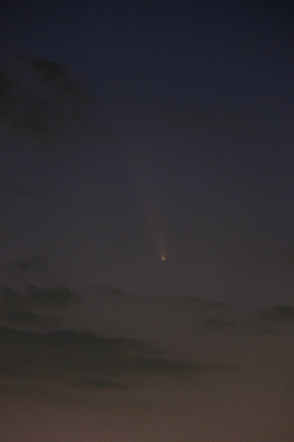 紫金山・アトラス彗星