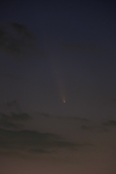 紫金山・アトラス彗星