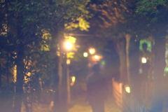 夜間公開