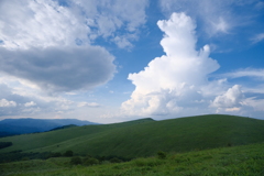 夏