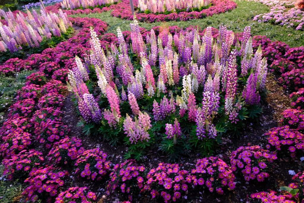 フラワーパーク