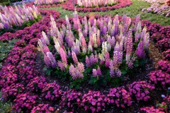 フラワーパーク