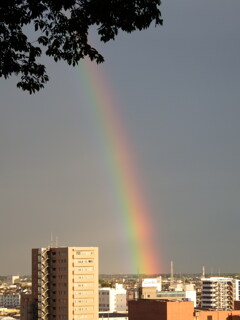 虹の始まり
