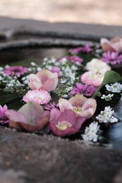 花手水