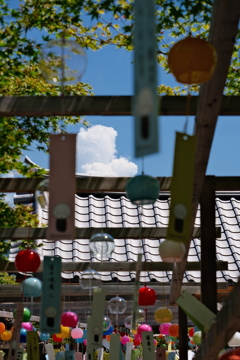 風鈴まつり④