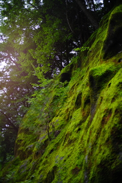 コケないように