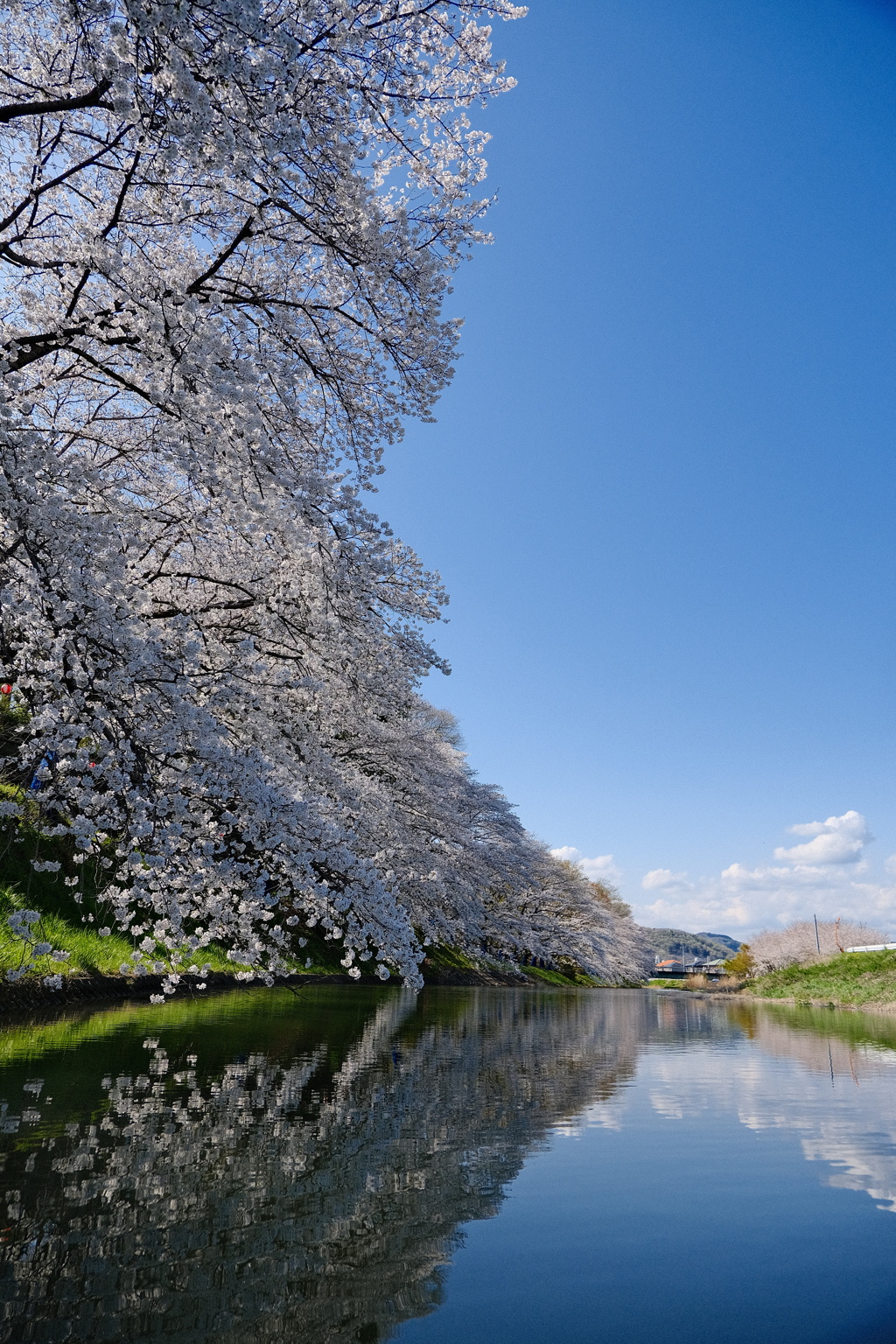 青空