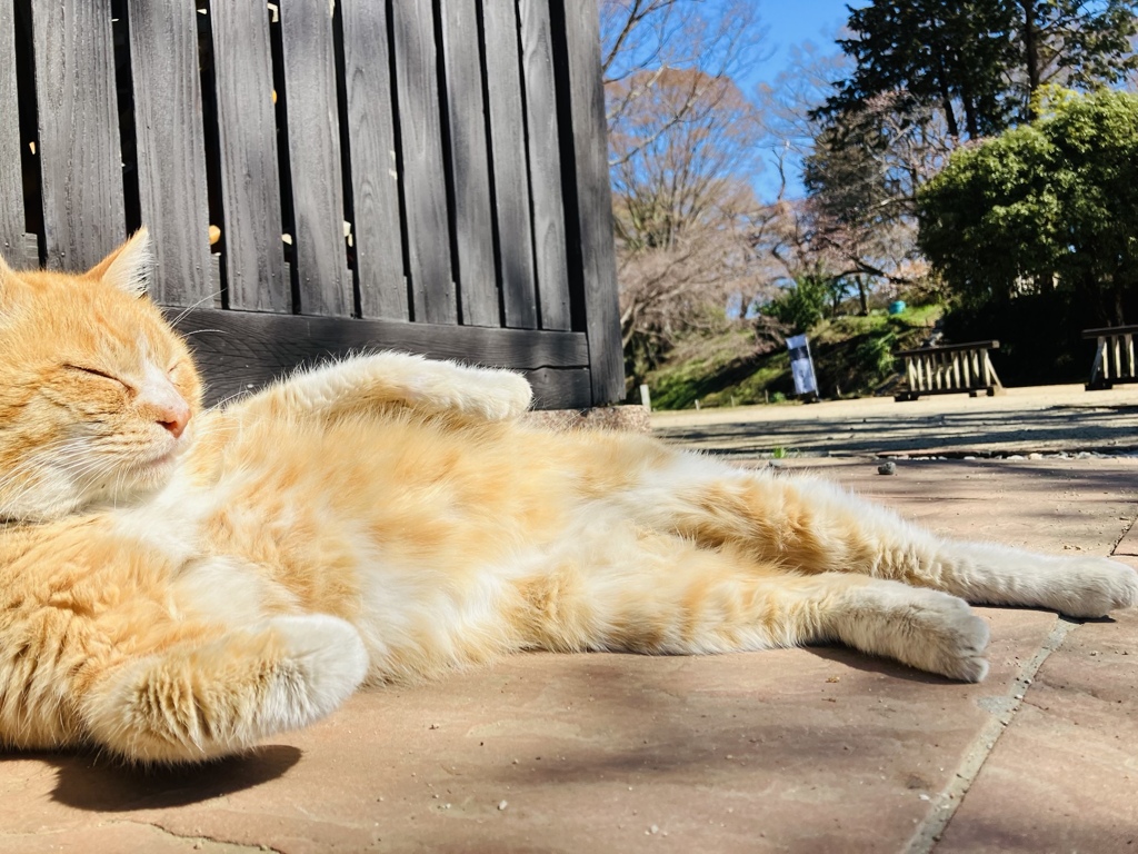 分かる、その気持ち