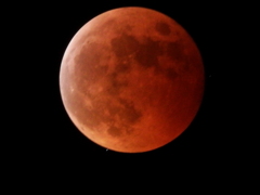 皆既月食・天王星食