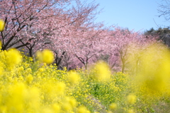 横で