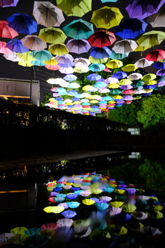 雨上がり2