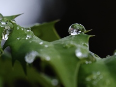 雨上がり