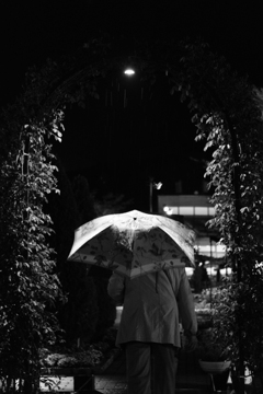 雨