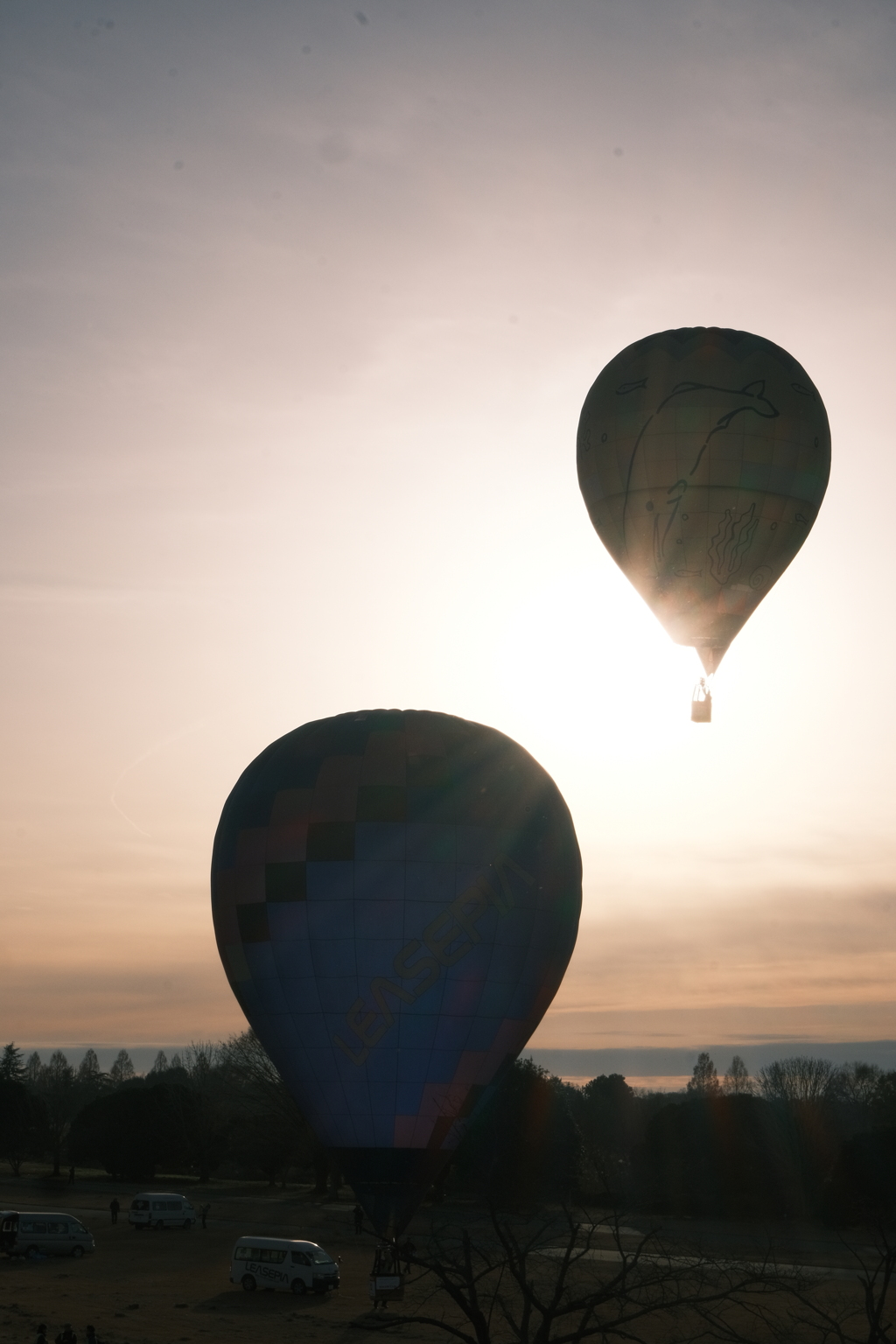 渡良瀬バルーンレース④