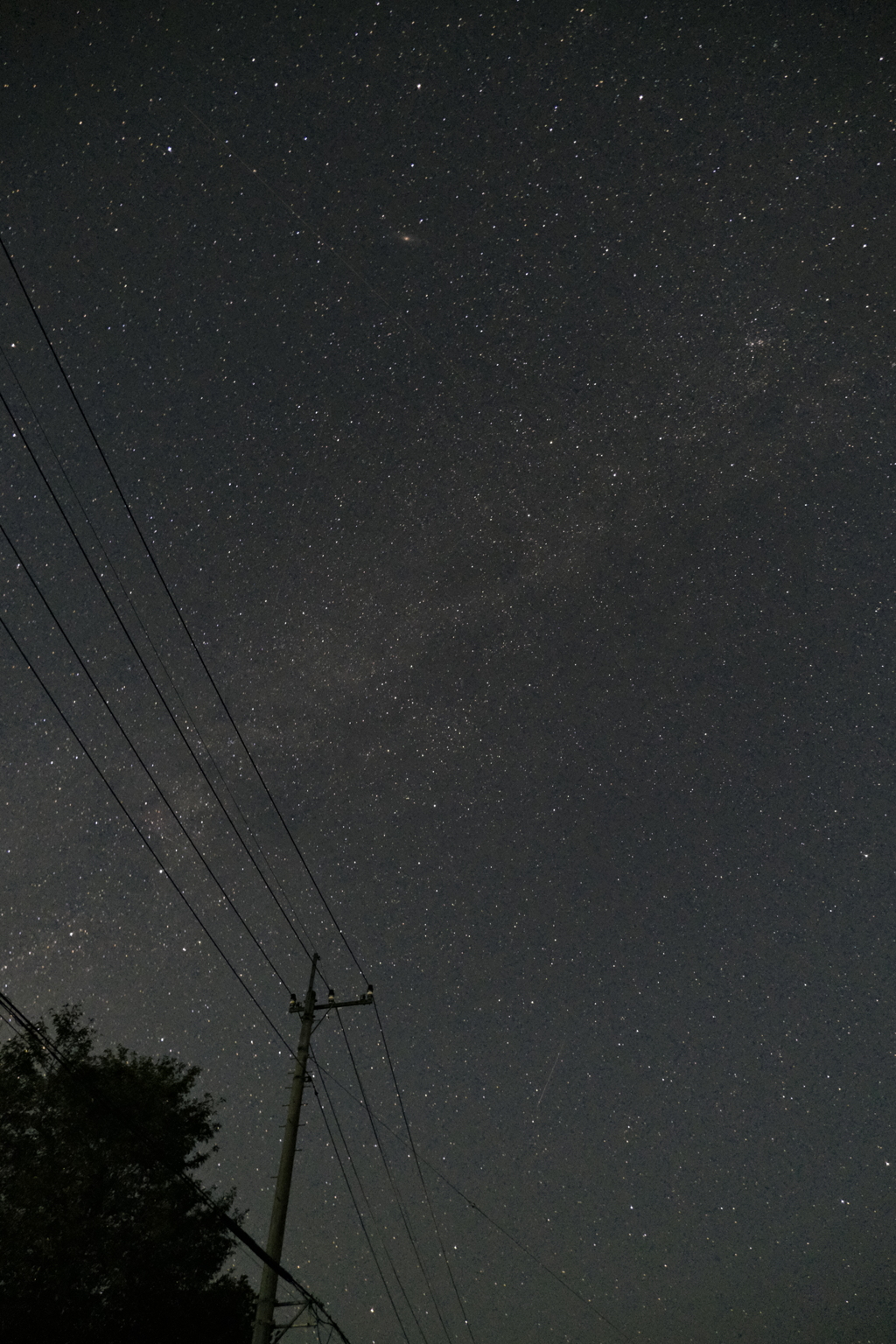 流星を探せ